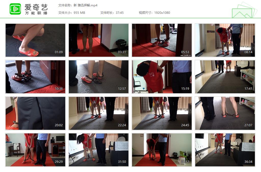 新 雅迅押解[20250330-180705584].jpg