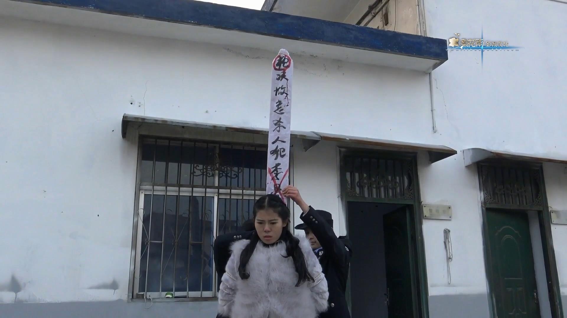 梨花雨 缘愁似个长 完整版 刑场女犯[01-09-52][20250705-113955338].jpg